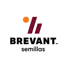 Vista previa del proyecto ERP Brevant - SIGO